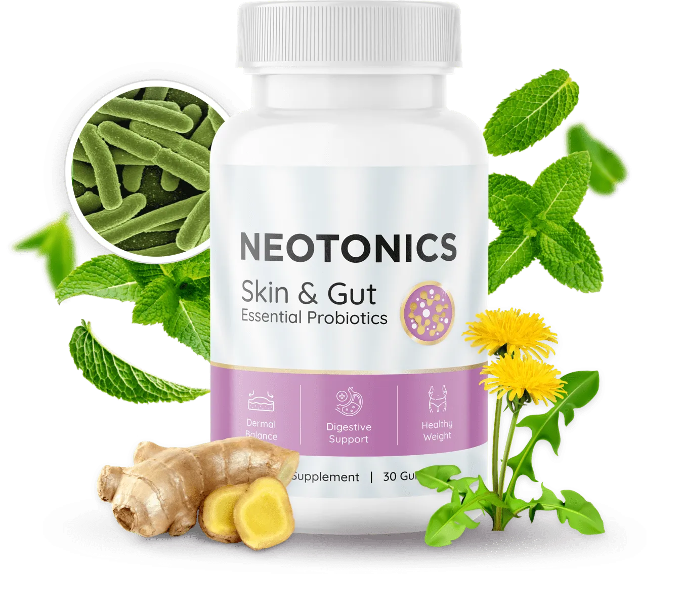 Neotonics product presentation